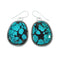 Navajo Turquoise Sterling Silver Hook Dangle Earrings X11017